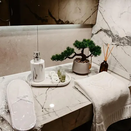 Apartment Luxury Coresi